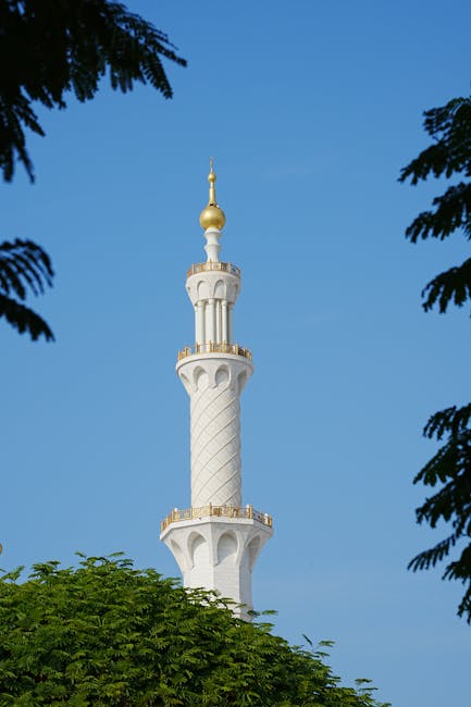 Брендинг кофейни «Арабика»